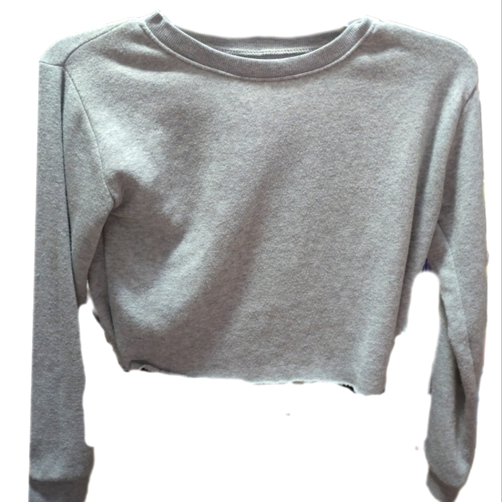 Cropped Gray Sweatshirt, newish, cute